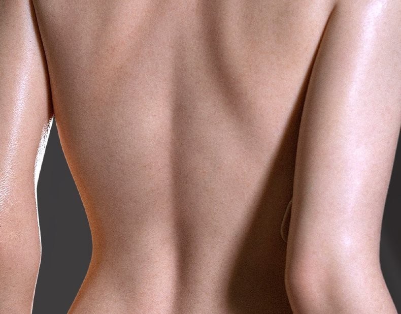 Back muscle line and pore grain